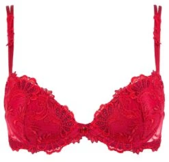 BH DRESSING FLORAL 3/4 Schale Von Lise Charmel 23 BH DRESSING FLORAL 3/4 Schale Von Lise Charmel -MAISON LEJABY Verkäufe progressiv schale bh acc8588 rot dressing floral lise charmel 2