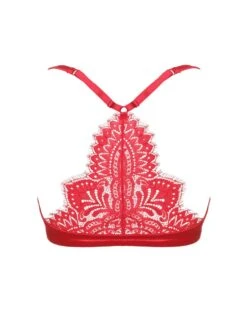 Push Up BH Mit Spitzenrücken BLACK SWAN Von Prelude Milano 13 Push Up BH Mit Spitzenrücken BLACK SWAN Von Prelude Milano -MAISON LEJABY Verkäufe push up bh gelkissen ys282 rot black swan prelude milano 3 1