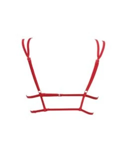 Triangel Longline BLACK SWAN BH Aus Spitze Von Prelude Milano -MAISON LEJABY Verkäufe triangel bh longline ys281 rot black swan prelude milano 2